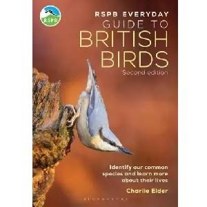 RSPB Everyday Guide To British Birds